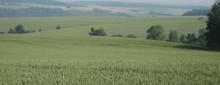 Pflanzenbau